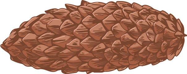 Spruce Cone Hand Drawn Illustration