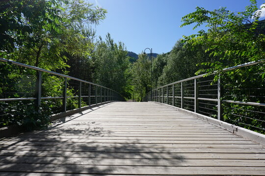 Wooden bridge over green trees