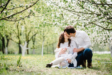 Happy young family on the green lawn in blooming apple blossom garden. The father, mother hug little boy on blanket have picnic on nature. Portrait of mom, dad, son. The concept of family holiday.
