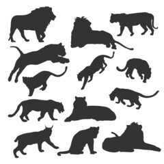 Set of Wildcats Running Pose silhouettes. Run, Jump, Attack, Pursue, Chase. High Detail Smooth. Vector Illustration. EPS