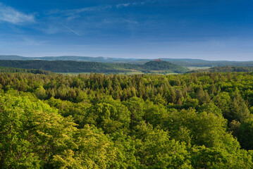 Blick über den Wald in Oberfranken auf Schloss Heldburg in Thüringen Deutschland