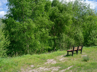 Bench facing green space in summer