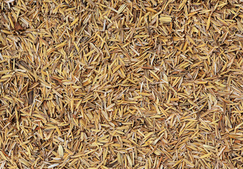 Rice husk texture,Thailand