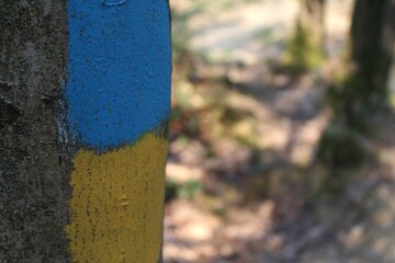 Indicatore per il sentiero