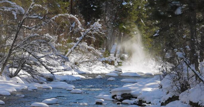 Beautiful snow scene forest in winter.