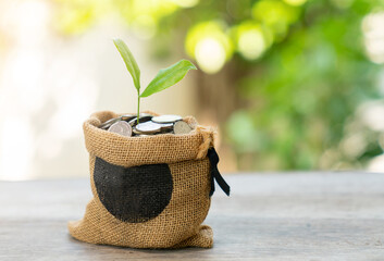Green plant growth on stack of coins in sack bag