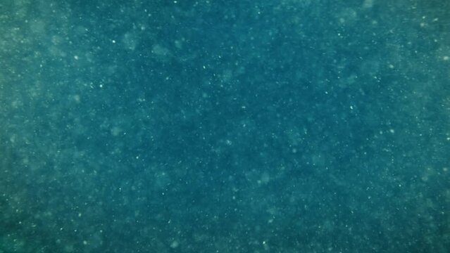 Abstract underwater background. Dirty water close up.