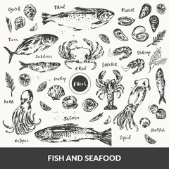 Hand drawn ink sketch of seafood and fish