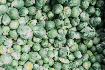 Fototapeta na wymiar fresh city sprouts at market