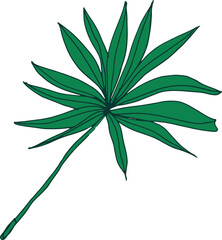 Exotic Plant Branch Hand Drawn Illustration