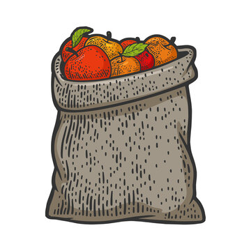 recommend clip art: bag of apples line art color sketch engraving raster illustration. T-shirt apparel print design. Scratch board imitation. Black and white hand drawn image.