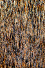 close up black and brown dog skin for texture and pattern.
