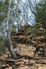 Fototapeta premium Stacked, rough old stones near a hiking trail by an old quarry in Western Pennsylvania.