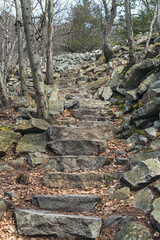 Rough stone steps create a path up a hillside near an old quarry in Western Pennsylvania.