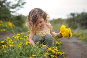 Little cute girl with curly blond hair gathering yellow bouquet of dandelions in a field of flowers near green park.