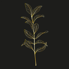 Art, golden branch of leaves. Vector illustration.