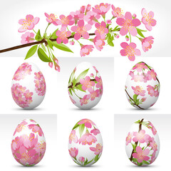 6 Easter Eggs with Cherry Blossoms on Surface and Branch - EPS10 Vector Collection