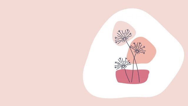 4k video of abstract cartoon dandelions on pink background.