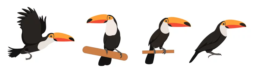 Foto op Aluminium Set of toucans from different angles on white background. Vector beautiful characters toucans in cartoon style. © Flow 37