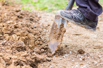 A man digs up the earth with a shovel in the garden. Preparing for sowing in your own garden by digging up clay soil.