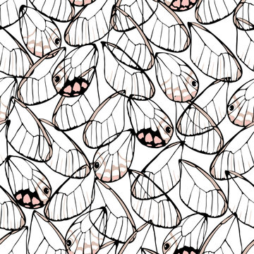 Butterfly nymph wing abstract seamless pattern.