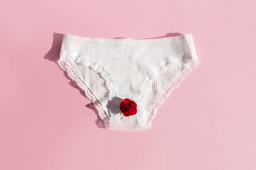 Womens underwear and rose flower. Concept of menopause, critical days, abdominal pain, menstruation, menstrual cycle, womens health, gynecology, female diseases, hormonal, premenstrual syndrome
