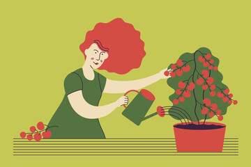 Woman growing and watering tomatoes at home or on balcony.