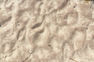 texture background on beach