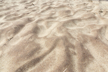 texture background on beach