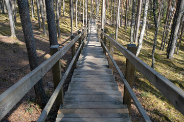 Wooden board stairs leading to Sietiniezis Rock in the forest of Gauja National Park, Latvia