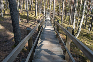 Obraz premium Wooden board stairs leading to Sietiniezis Rock in the forest of Gauja National Park, Latvia