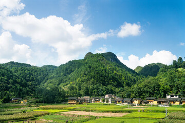 Rice terrace and village landscape in China