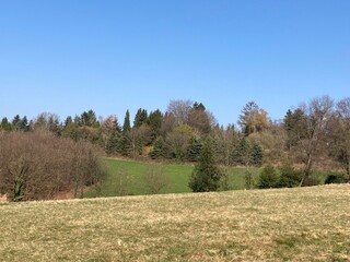 Ländliche Hügellandschaft im Frühling
