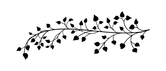 ivy vine design element, minimalistic vector of leaves in outline, plant stem or tree branch clip-art, pretty curving floral design isolated on white background, decorative wedding invitation art - 495474547