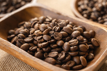 浅煎りコーヒー豆　ブラジル