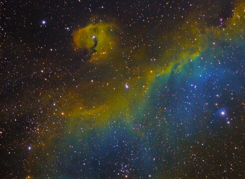 The Seagull nebula IC2177