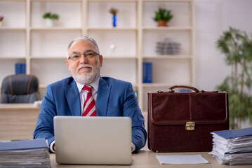 Old male employee working in the office