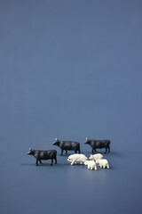  Animal welfare and farming of cattle.