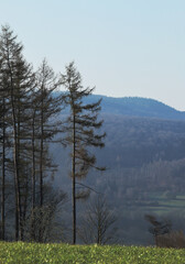 Spring landscape in the morning (Kadenbach, Germany)