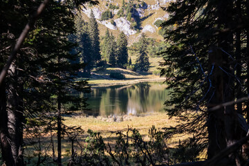 Fototapeta na wymiar Panoramic view from the forest on lake Sackwiesensee in the Hochschwab Region in Upper Styria, Austria. Sharp summits of Seemauer, Polster, Oehler in the Alps in Europe. Wilderness. Concept freedom
