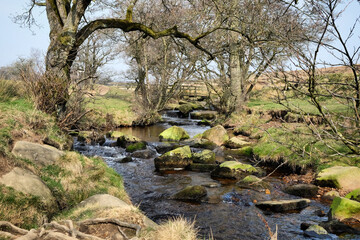 Upper Padley Gorge in the Peak District, Derbyshire, UK