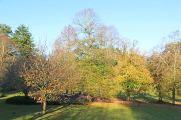 Cockington country park, Devon, in Autumn	
