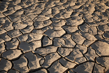 dried desert mud 
