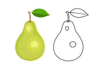 Green pear color cartoon illustration and simple outline. Vector fresh fruit. Flat icon.