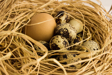 Easter Eggs in nesting-box with quail eggs,Easter celebration concept,