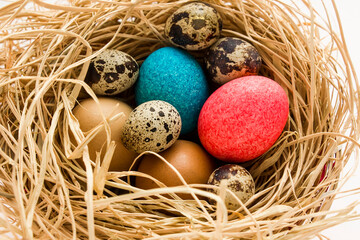 Fototapeta na wymiar Decorative,colorful,Easter Eggs in nesting-box with quail eggs.Easter celebration concept