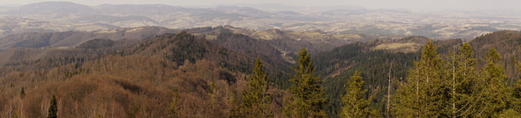 View near Koziarz mountain 943 m above sea level in Carpathian Mountains in Poland 