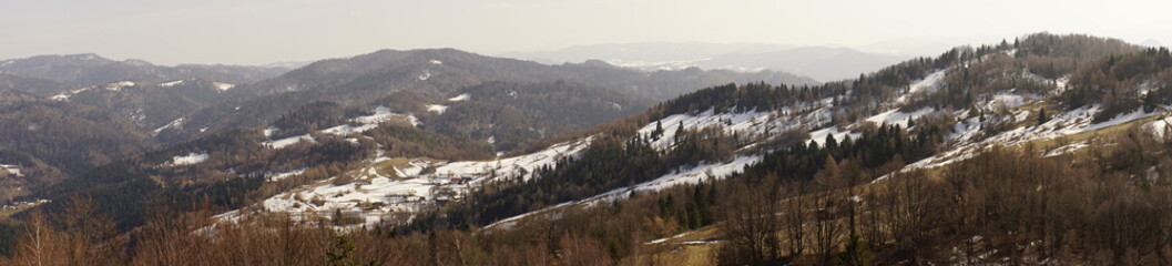 View near Koziarz mountain 943 m above sea level in Carpathian Mountains in Poland 