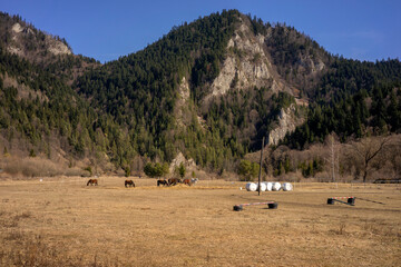 Pieniny National Park in Carpathian Mountains, Poland - 03.27.2022 - Sunny day with nice view on Three Crowns. © Roman Trojanowski