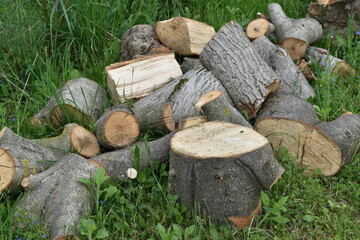 Stacked chopped firewood in the forest close-up. Chopping wood. Logging in the village. Rustic lifestyle. Rural photography. 